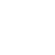 Icona LinkedIn